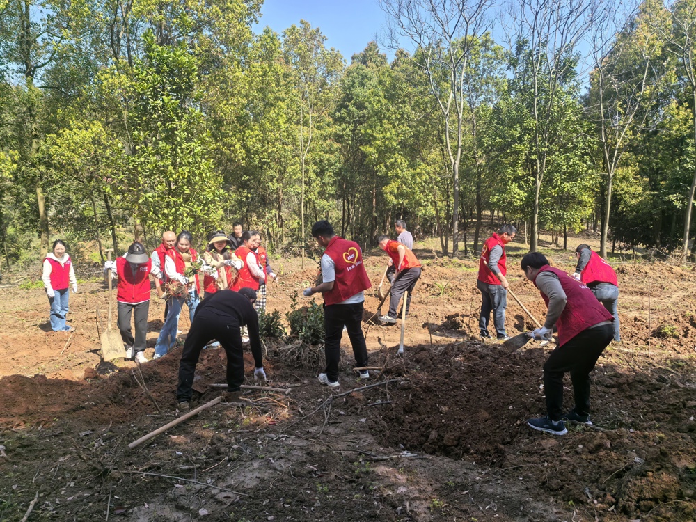 12acbf308d61066c888be7d6480949be